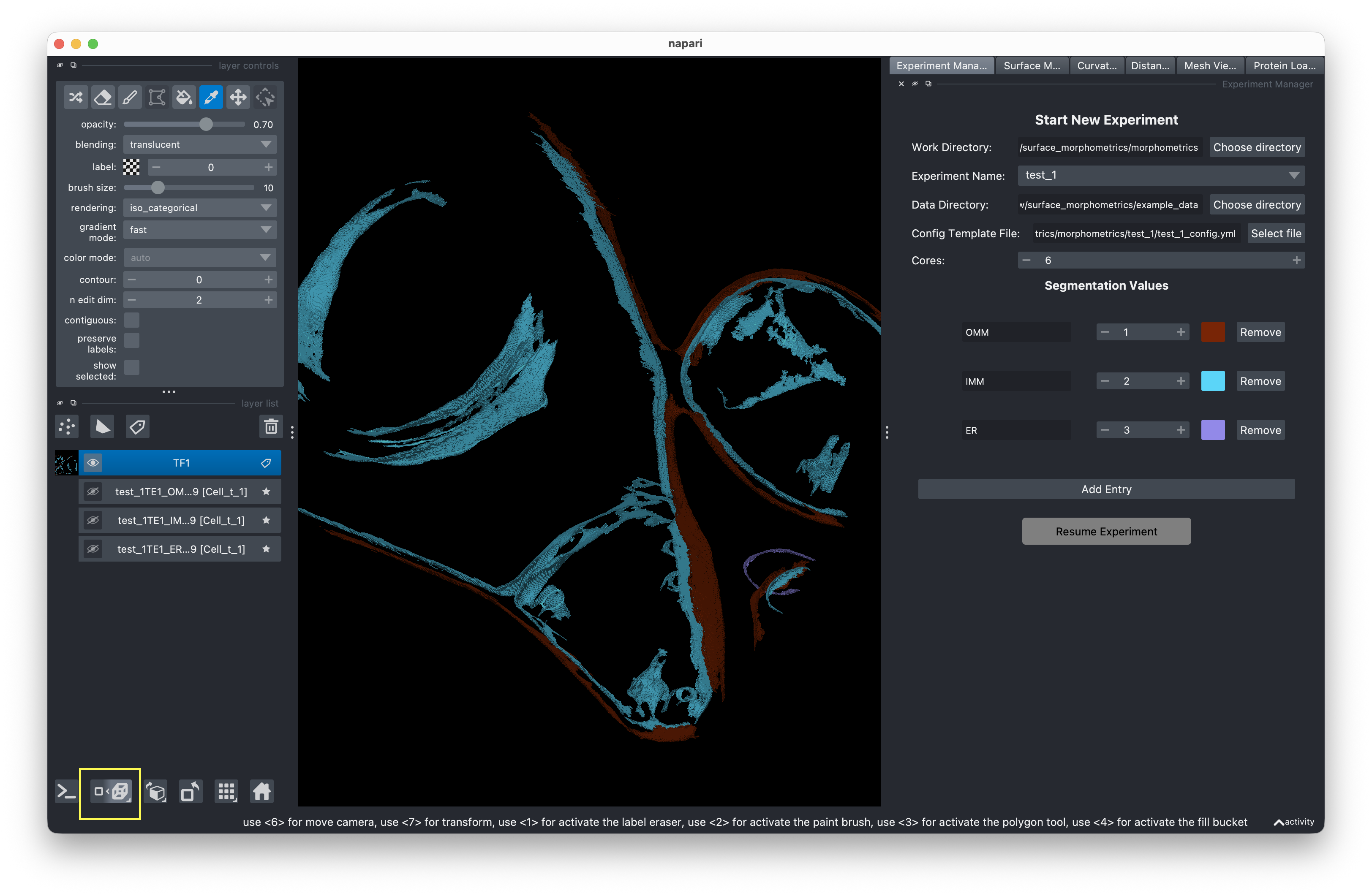 3D Mesh View