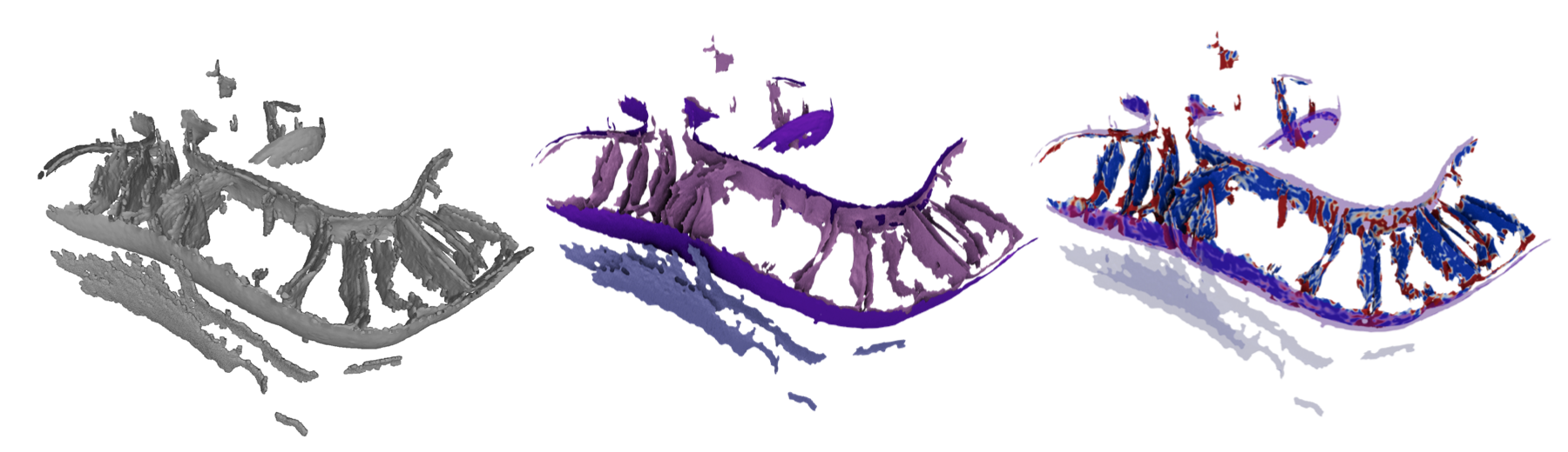 Morphometrics Workflow